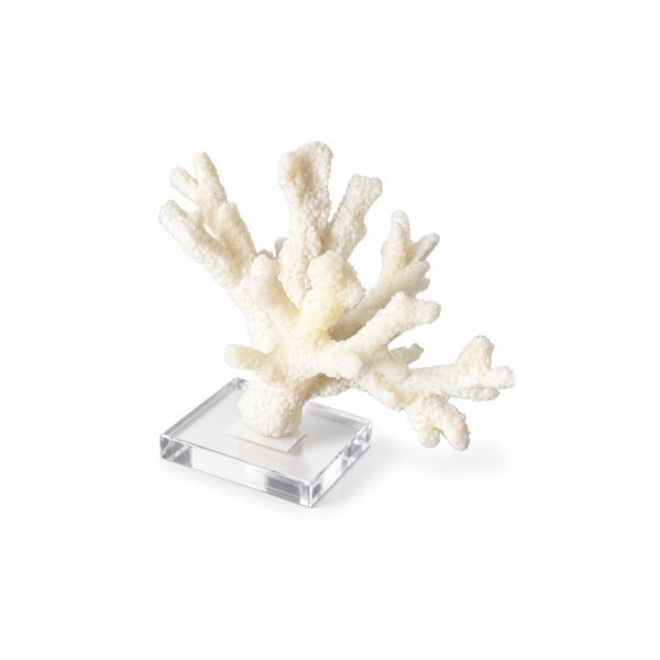 Escultura Coral Branco Ramificado em Resina com Base Acrílica