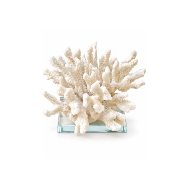 Escultura Coral Branco Volumoso em Resina com Base Transparente