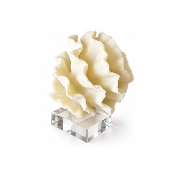 Escultura Coral Flor Marfim em Resina com Base Transparente